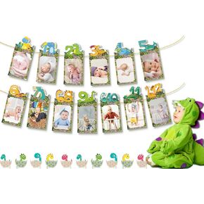 Wild One Dinosaur First Birthday Decorations - 1st Birthday Photo Banner & Monthly Milestone Props for Safari Dino Theme