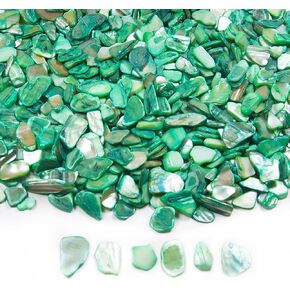 Crushed Shells for Decoration, 14.5 oz Natural Crushed Seashells Mosaic Sea Shell Fragments, Irregular Seashell Slices for Crafts, Home, Vase Fillers, Wedding Party, Landscaping (Mixed Color)