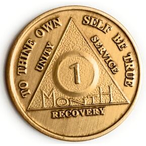 7 Month AA Medallion Traditional Style Bronze Raised Center Sobriety Chip