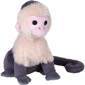 Wild Republic Rainforest White Face Capuchin, Stuffed Animal, 6 Inches, Plush Toy, Fill is Spun Recycled Water Bottles