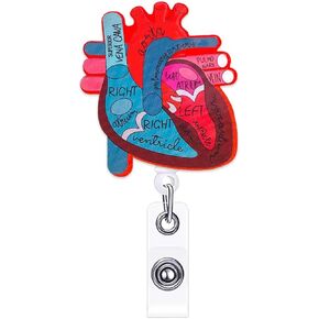 Cardiology Badge Reel Nurse Heart Badge Reels Retractable for Nurses Anatomy Anatomical Cardiac Nursing Student Badge Clip RN LPN CNA Acrylic Funny Medical Badge ID Card Accessories A155