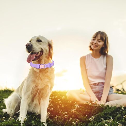 Waterproof Dog Collar with Safety Metal Buckle, Durable and Easy to Clean Soft Rubber Dog Collar, Adjustable Pet Collars for Small Medium Large Dogs in Saudi Arabia
