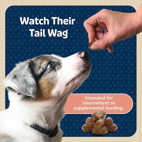 Blue Buffalo Bits Beef Training Treats, 19 oz in Kuwait