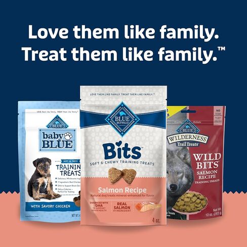 Blue Buffalo Bits Beef Training Treats, 19 oz in Kuwait