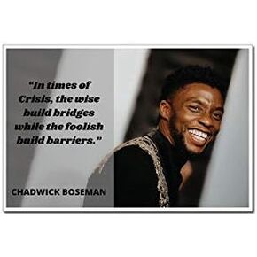 Chadwick Boseman Poster Quote “In times of Crisis, the wise build bridges while the foolish build barriers." Motivational Educational Inspirational 12-Inches by 18-Inches Print Wall Art CAP00088