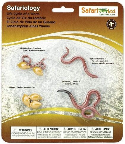Safari Ltd. Life Cycle of a Worm Set - Miniature Educational Figurines - Realistic and Detailed Toy Collection for Boys, Girls & Kids Age 4+ in Saudi Arabia