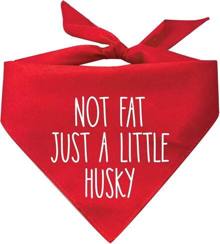 Not Fat Just A Little Husky Dog Bandana (Assorted Colors) in Kuwait
