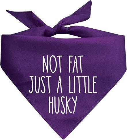 Not Fat Just A Little Husky Dog Bandana (Assorted Colors) in Kuwait
