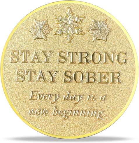 Sun Deer Challenge Coin Reindeer Merry Xmas Commemorative Coin Funny Token New Year Keepsake Stay Strong, Stay Sober Inspirational Holiday Collectible Gifts for Recovery in Kuwait