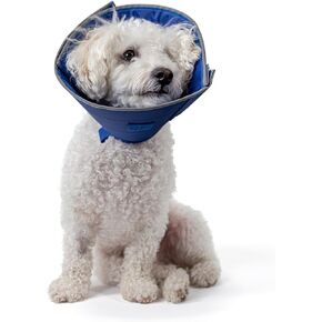 Calm Paws Dog Caring Collar W/Calming (Medium)