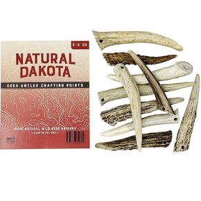 Deer Antler Crafting Points (Jewelry, Home Décor, Crafts) Antler Tips, Tines, Points (1"-3")