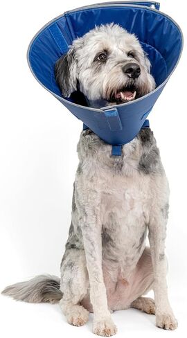 Calm Paws Dog Caring Collar W/Calming (Medium) in Kuwait