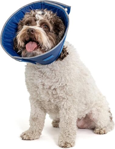 Calm Paws Dog Caring Collar W/Calming (Medium) in Kuwait