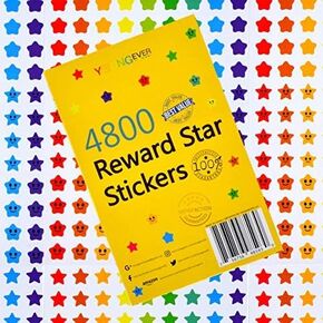 Youngever 4800 Reward Star Stickers, 18 Designs, Star Labels for Kids, Reward Stickers Mega Variety Pack, Incentive Stickers for Teacher Supplies Classroom Supplies
