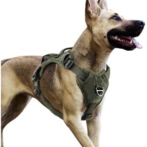 No Pull Dog Harness, No Choke Front Clip Pet Vest for Medium Dogs, Adjustable Dog Vest Harness with Easy Control Handle for Training Running Walking (Green, Medium)
