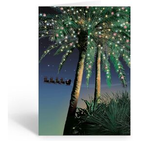 Stonehouse Collecton - Holiday Palm Santa Flyby Tropical Christmas Cards - 18 Christmas Cards and Enveopes (Standard)