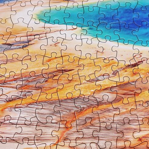 Jigsaw Puzzles for Adults 1000 Pieces Ocean Animals Thick Sturdy Cardboard Precise Interlocking 1000 Piece Puzzle Age 14+ Family Game in Saudi Arabia