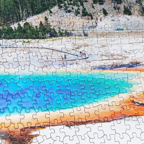 Jigsaw Puzzles for Adults 1000 Pieces Ocean Animals Thick Sturdy Cardboard Precise Interlocking 1000 Piece Puzzle Age 14+ Family Game in Saudi Arabia