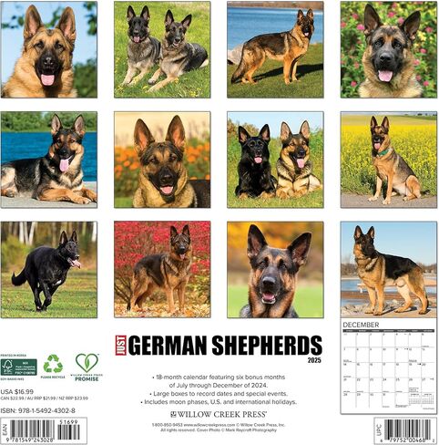 Willow Creek Press German Shepherds Monthly 2025 Wall Calendar (12" x 12") in Saudi Arabia