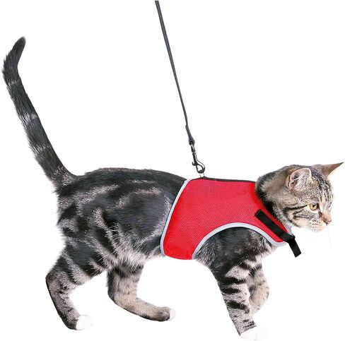 Trixie Pet Products 41896 1.20 m Soft Harness with Leash for Cats, Colors May Vary, 24-42cm in Saudi Arabia