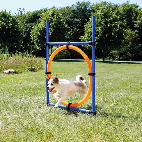 Trixie Pet Products 41896 1.20 m Soft Harness with Leash for Cats, Colors May Vary, 24-42cm in Saudi Arabia