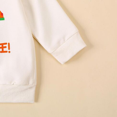 Toddler Boys Fall Outfits Farm Truck Letter Print Long Sleeve Crew Neck Sweatshirts Pocket Pants 2Pcs Clothes Set in Saudi Arabia