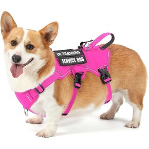 VOOPET Escape Proof Dog Harness, Soft Padded Full Body Pet Harness, Reflective No Pull Dog Harness with Handle and 2 Leash Clips for Small Dogs Walking Hiking Training (Rose Pink,S) in Kuwait