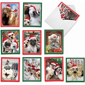 The Best Card Company Variety Pack of 10 Animals Christmas Greeting Cards with Envelopes, Humor Wildlife Holiday for Men and Women (10 Designs, 1 Each) - Merry Christmas to Zoo M6652XSG