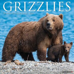 Willow Creek Press Grizzlies Monthly 2025 Wall Calendar (12" x 12")