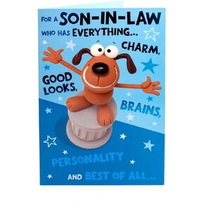 Cute Funny Son-In-Law Birthday Greeting Card Crackers Range Cards New