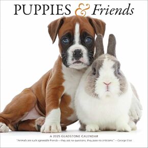 Carousel Calendars, Puppies and Friends 2025 Wall Calendar