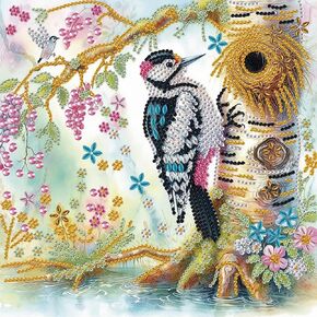 Acudotr Diamond Painting Kits for Adults Woodpecker, 5D Special Shape Bird Diamond Art Kits for Beginners, Crystal Rhinestones Diamond Painting for Home Wall Decoration, 12×12 Inch