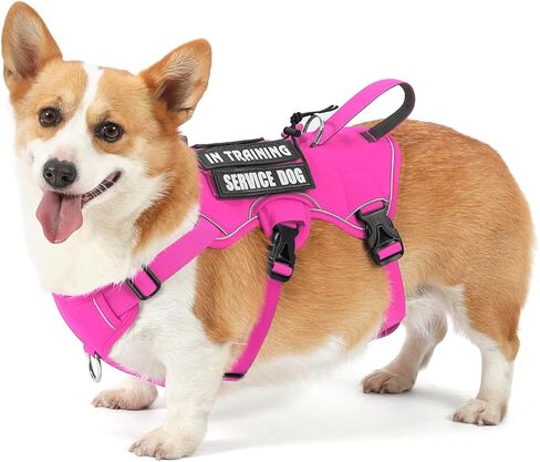 VOOPET Escape Proof Dog Harness, Soft Padded Full Body Pet Harness, Reflective No Pull Dog Harness with Handle and 2 Leash Clips for Small Dogs Walking Hiking Training (Rose Pink,S) in Kuwait
