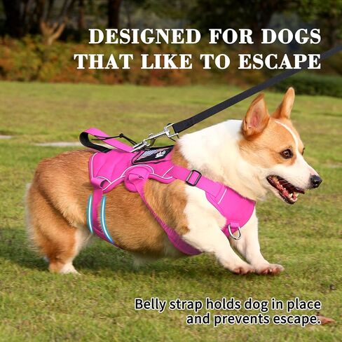 VOOPET Escape Proof Dog Harness, Soft Padded Full Body Pet Harness, Reflective No Pull Dog Harness with Handle and 2 Leash Clips for Small Dogs Walking Hiking Training (Rose Pink,S) in Kuwait