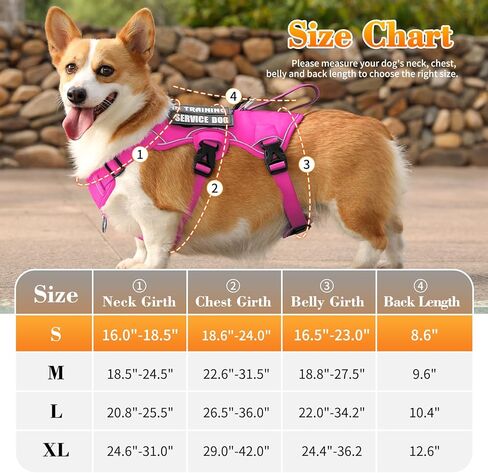VOOPET Escape Proof Dog Harness, Soft Padded Full Body Pet Harness, Reflective No Pull Dog Harness with Handle and 2 Leash Clips for Small Dogs Walking Hiking Training (Rose Pink,S) in Kuwait