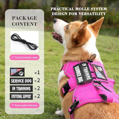 VOOPET Escape Proof Dog Harness, Soft Padded Full Body Pet Harness, Reflective No Pull Dog Harness with Handle and 2 Leash Clips for Small Dogs Walking Hiking Training (Rose Pink,S) in Kuwait