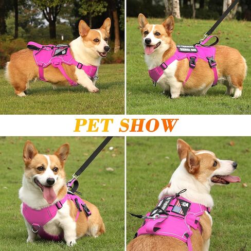 VOOPET Escape Proof Dog Harness, Soft Padded Full Body Pet Harness, Reflective No Pull Dog Harness with Handle and 2 Leash Clips for Small Dogs Walking Hiking Training (Rose Pink,S) in Kuwait