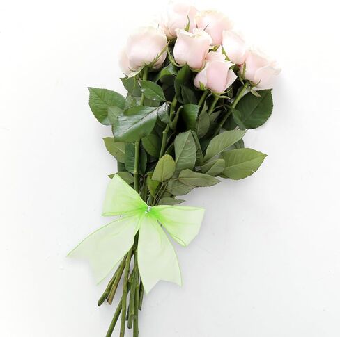 Baby Pink Organza Ribbon Spring Easter Wired Ribbon for Wreath Bows Crafts Gift Wrapping Pink Chiffon Ribbon for Home Birthday Party Wedding Easter Decorations 2.5" X 25 Yard in Kuwait