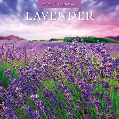 Red Robin 2025 Lavender Monthly Wall Calendar | 12" x 24" Open | Premium Thick & Sturdy Paper | Hangable 12 Month Calendar | Plastic Free | 4 Month Transition Page for 2024 in Saudi Arabia