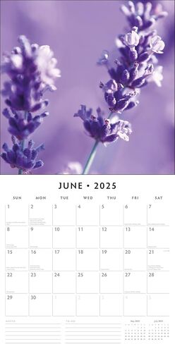 Red Robin 2025 Lavender Monthly Wall Calendar | 12" x 24" Open | Premium Thick & Sturdy Paper | Hangable 12 Month Calendar | Plastic Free | 4 Month Transition Page for 2024 in Saudi Arabia