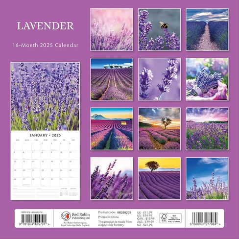 Red Robin 2025 Lavender Monthly Wall Calendar | 12" x 24" Open | Premium Thick & Sturdy Paper | Hangable 12 Month Calendar | Plastic Free | 4 Month Transition Page for 2024 in Saudi Arabia