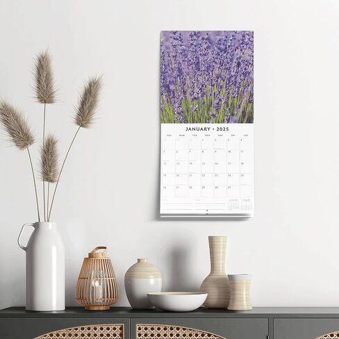 Red Robin 2025 Lavender Monthly Wall Calendar | 12" x 24" Open | Premium Thick & Sturdy Paper | Hangable 12 Month Calendar | Plastic Free | 4 Month Transition Page for 2024 in Saudi Arabia
