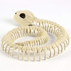 1Pcs Skeleton Bones Snake Plastic Snake Skeleton Model for Halloween Decoration Terror Scary Props