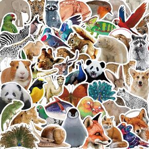 100 Pcs Cute Penguin Stickers Funny Penguin Waterproof Vinyl Laptops Decals for Water Bottle Bumper Journal Cartoon Penguin Animals Party Reward Sticker for Kids Teens Adults