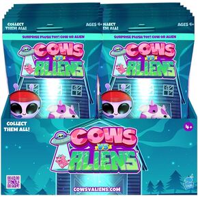 Mystery Bags - 12pack -Teal Assortment A Set