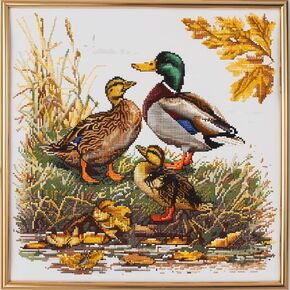 Generic Mallard Duck Family DIY 11CT Stamped Cross Stitch Kits for Beginners Easy Needlepoint Embroidery Counted Cross Stitch Art Craft for Wall Decoration 14x14inch(3)