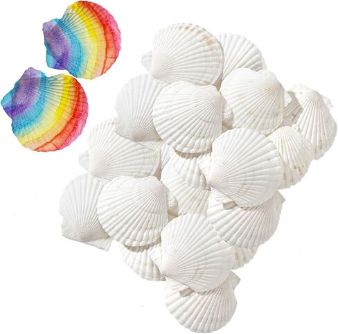 10 PCS Large Scallop Shells 4-5 inch Natural White Scallop Shells for Crafts, Sea Shell from Sea Beach for DIY Craft Decor, Baking, Home, Beaching Wedding Decoration in Kuwait