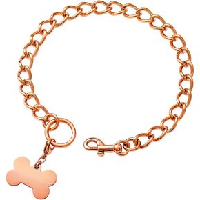 New Clip Design Metal Chain Dog Slip Collar,Strong Stainless Steel P Chain Walking Collar for Small Medium Large Dogs