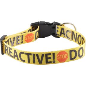 CENWA Do Not Pet Reactive Dog Collar Stay Away Dog Collar Do Not Touch Dog Collar (DO NOT PET Reactive)