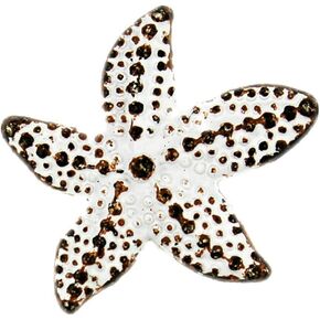 Bezelry 12 Pieces Starfish Light Gold Metal Shank Buttons 19mm (Light Gold)